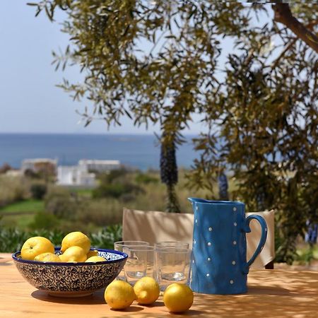 Good Life Greece Eco Villas Posidhonia  Экстерьер фото