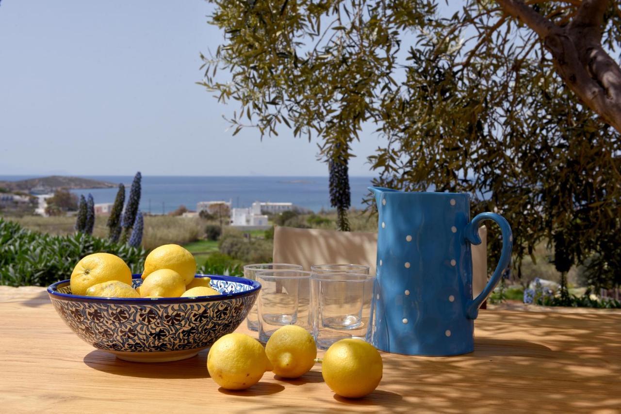 Good Life Greece Eco Villas Posidhonia  Экстерьер фото