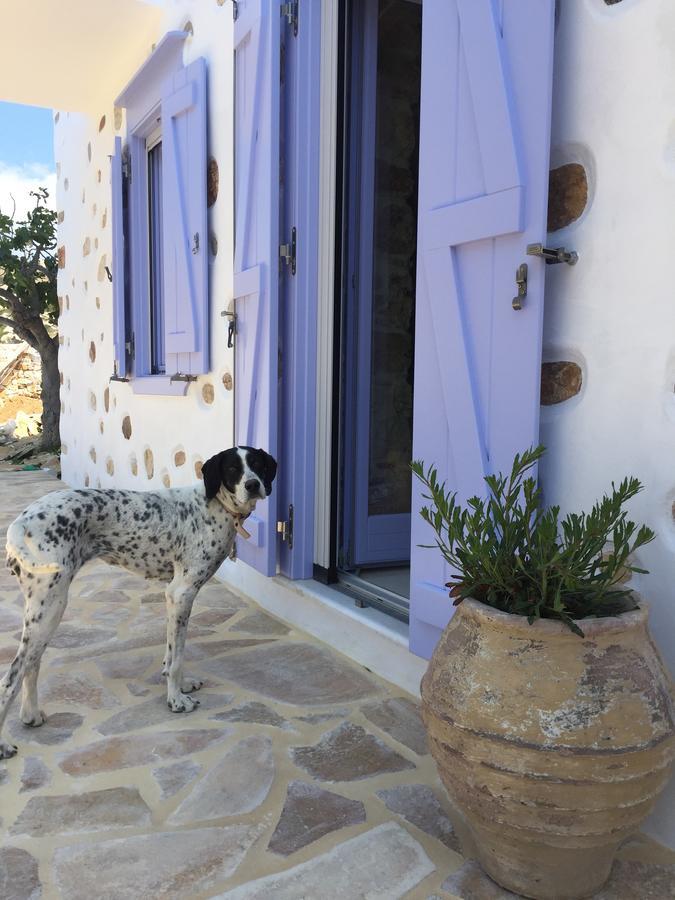 Good Life Greece Eco Villas Posidhonia  Экстерьер фото